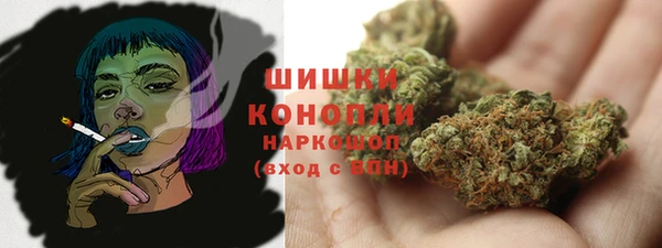 крисы Яранск