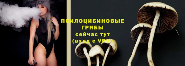 бошки Ельня